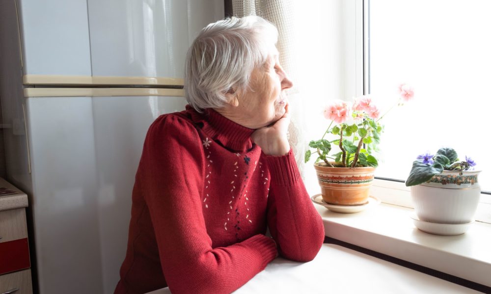 Combating Loneliness in Older Adults